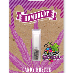 Candy Hustle von Humboldt Seed Company