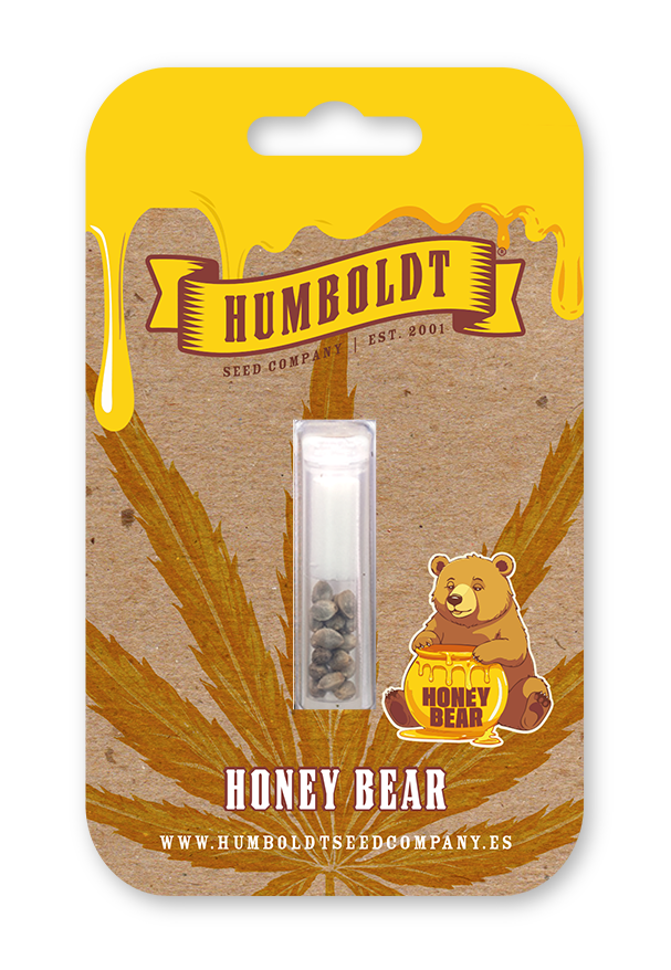 Honey Bear von Humboldt Seed Company
