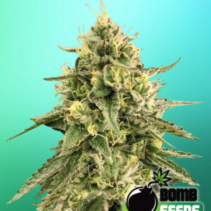 Monkey Bomb von Bomb Seeds