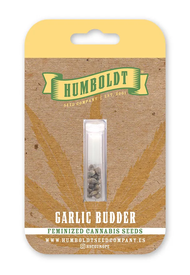 Garlic Budder von Humboldt Seed Company