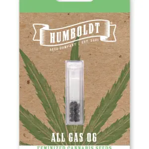 All Gas OG 5 St. Humboldt Seed Company