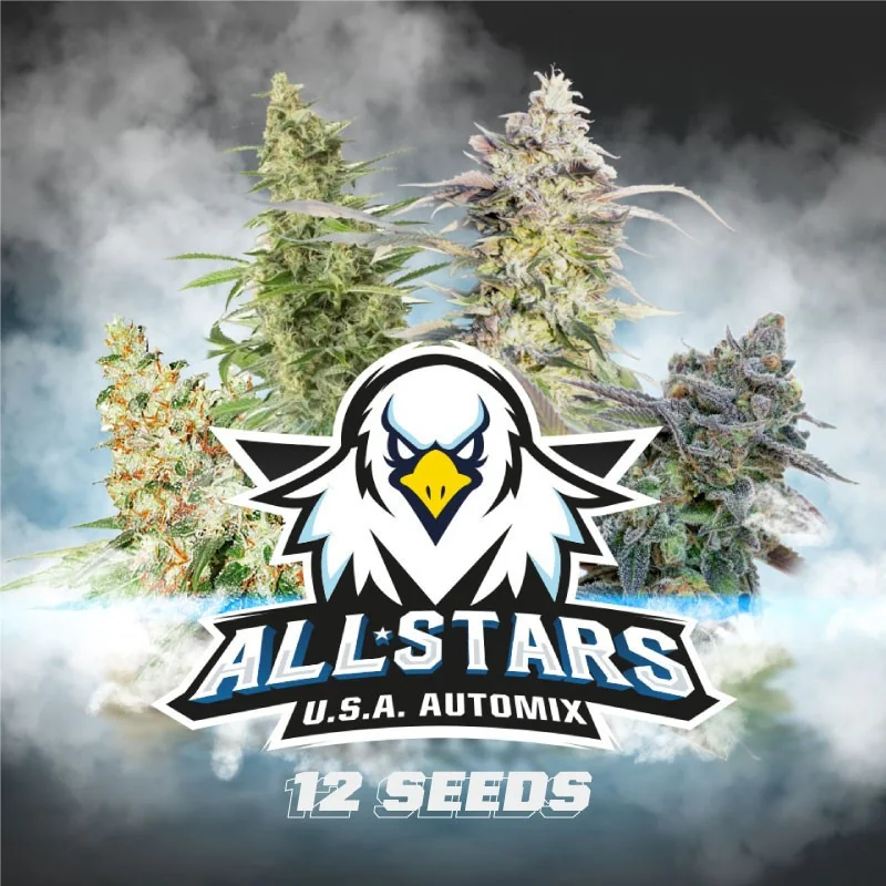 All Stars USA Automix BSF Seeds