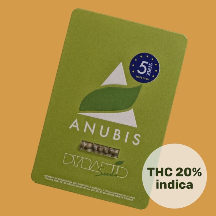 Anubis Pyramid Seeds