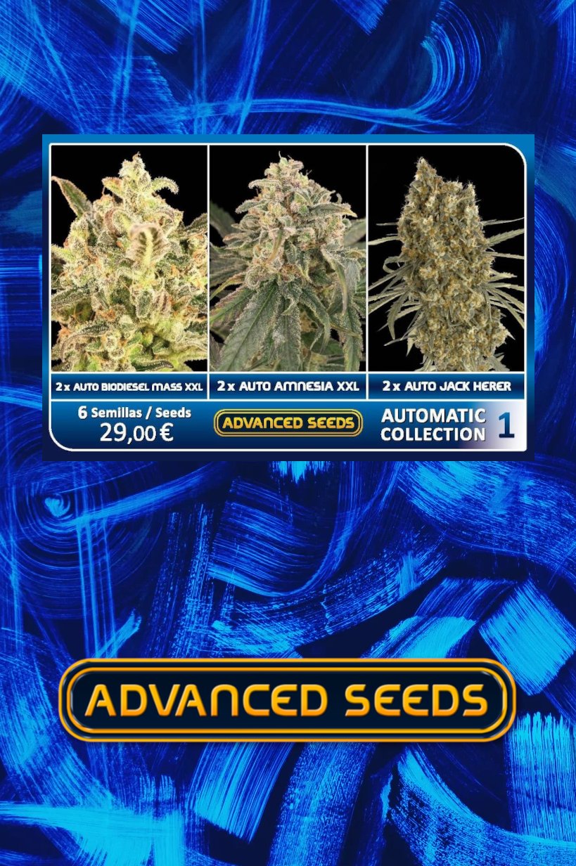 Automatic Collection #1 Advanced Seeds