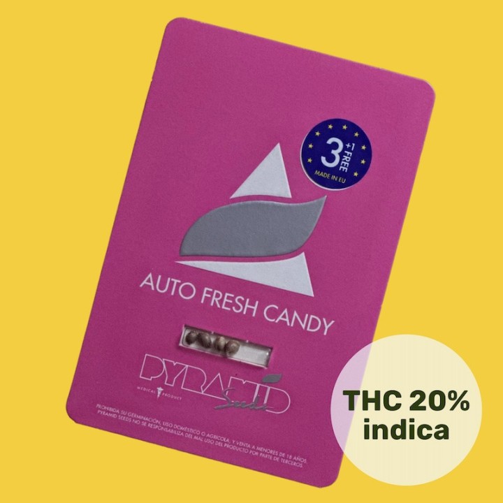 Auto Fresh Candy Pyramid Seeds