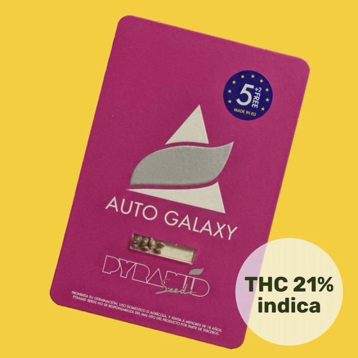 Auto Galaxy Pyramid Seeds