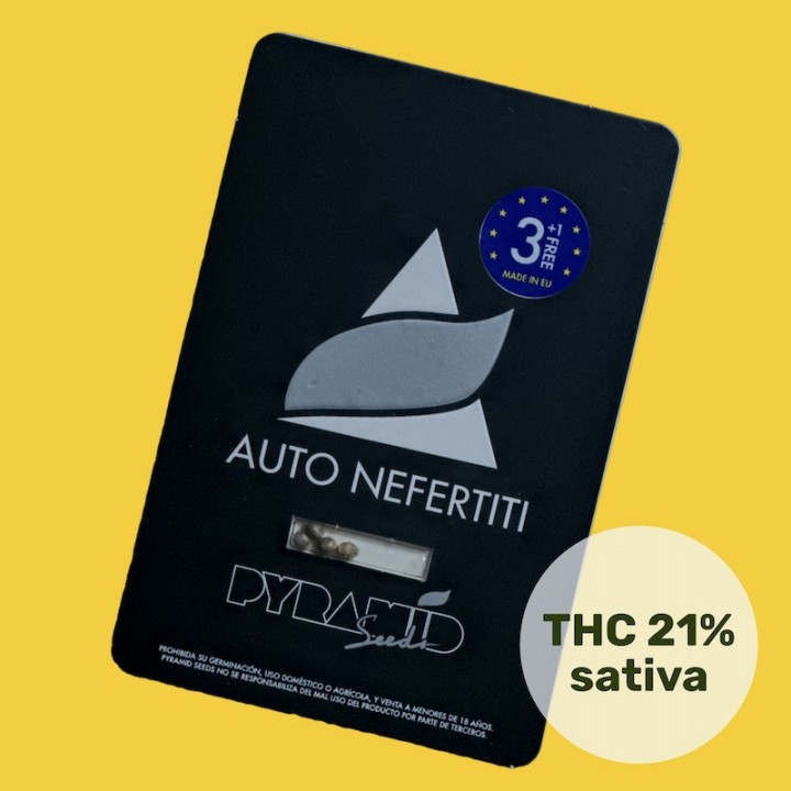 Auto Nefertiti Pyramid Seeds