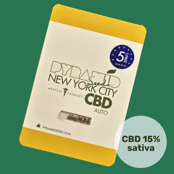Auto New York City CBD Pyramid Seeds