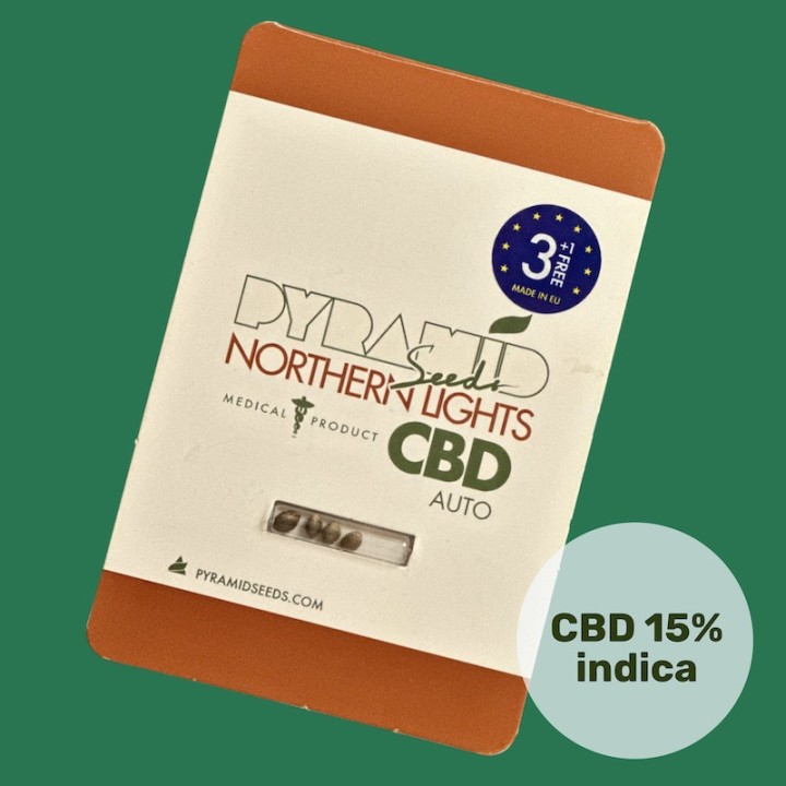 Auto Northern Lights CBD Pyramid Seeds
