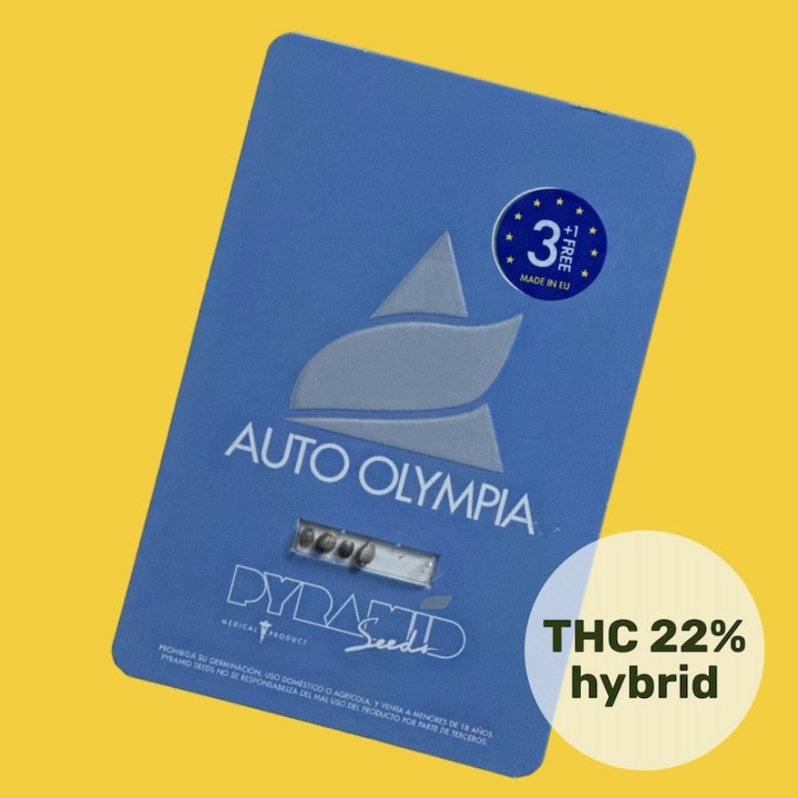Auto Olympia Pyramid Seeds