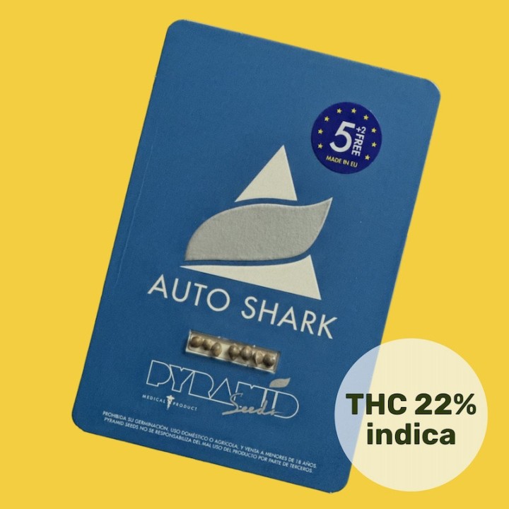Auto Shark Pyramid Seeds