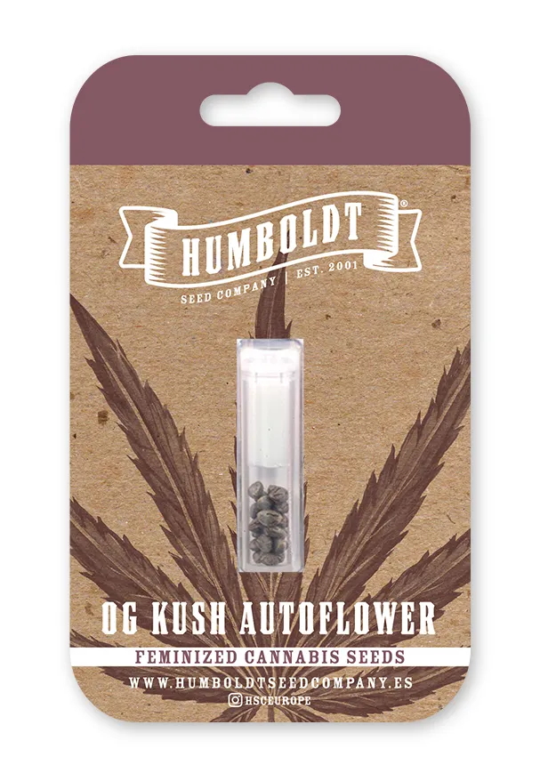 OG Kush Auto von Humboldt Seed Company