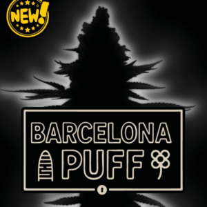 Barcelona Puff Auto von Seedstockers