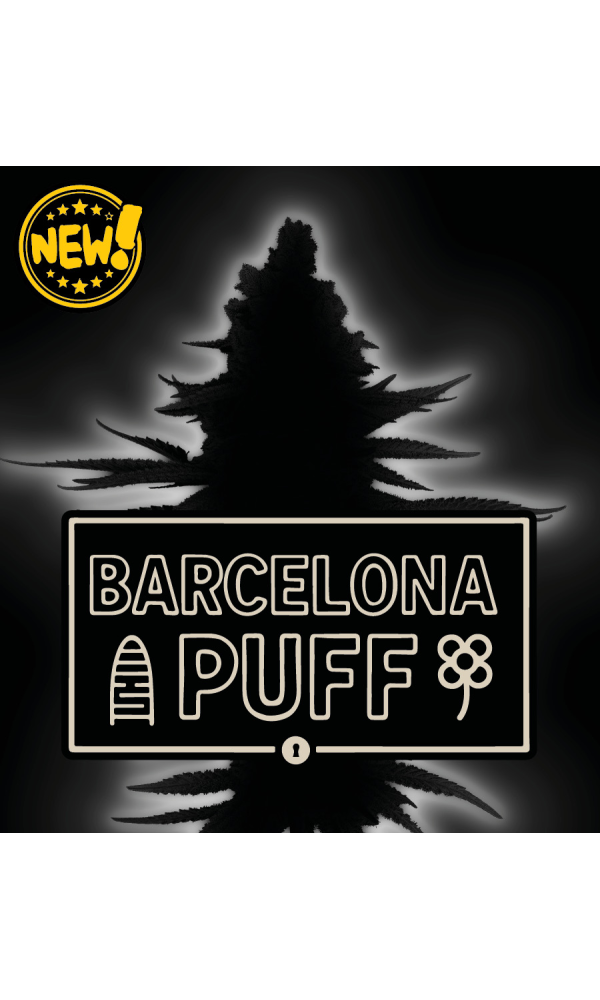Barcelona Puff Auto von Seedstockers