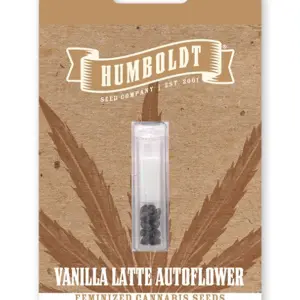 Vanilla Latte Auto von Humboldt Seed Company