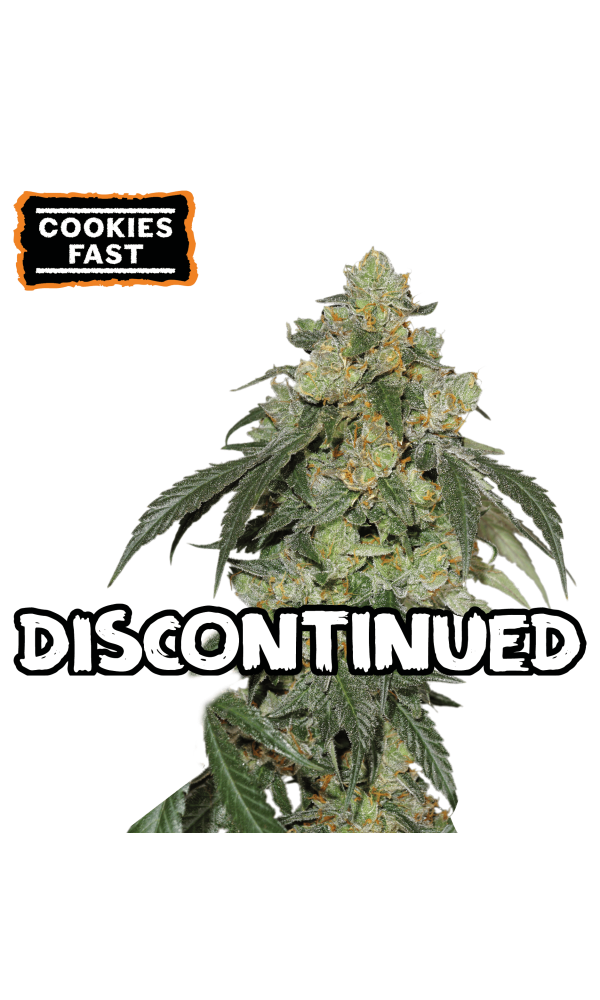 Cookies Fast von Seedstockers