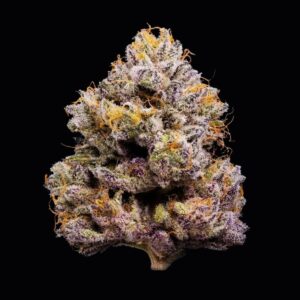ZZ4 von Cookies Seed Bank