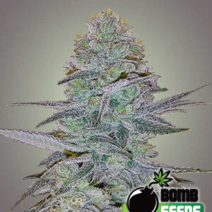 Cosmic Bomb Auto von Bomb Seeds