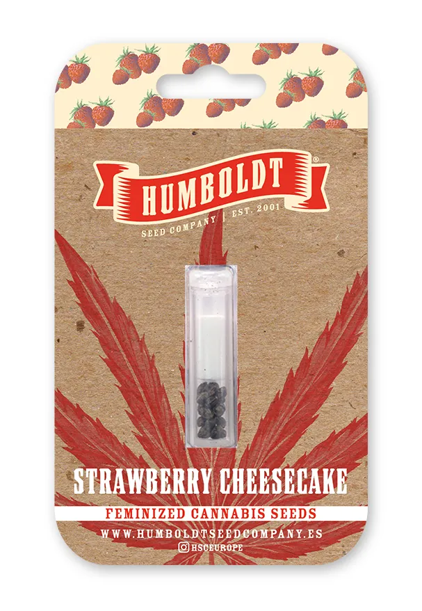 Strawberry Cheesecake Auto von Humboldt Seed Company