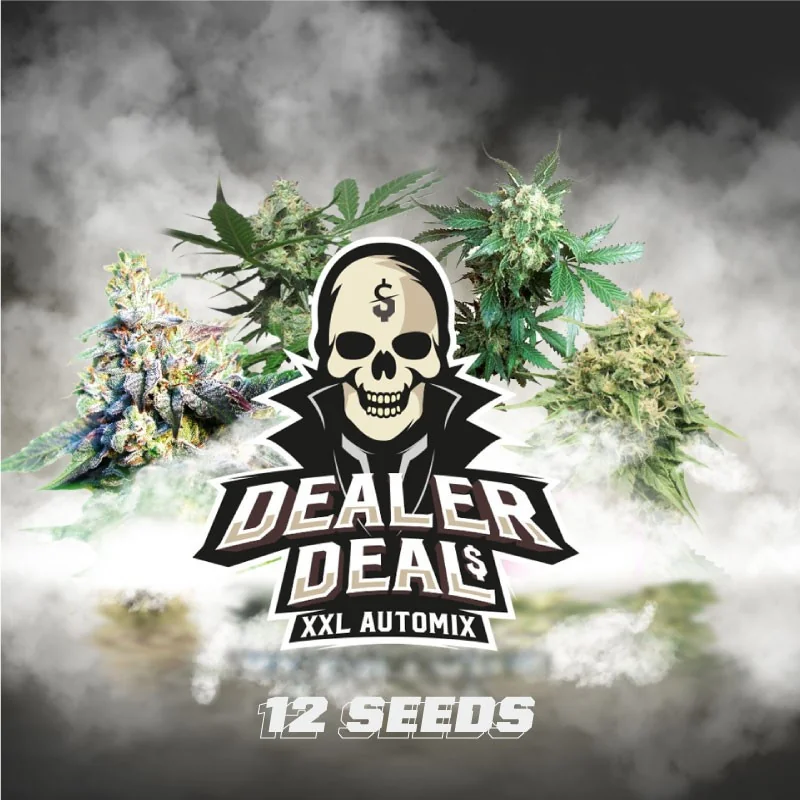 Dealer Deal XXL Automix BSF Seeds