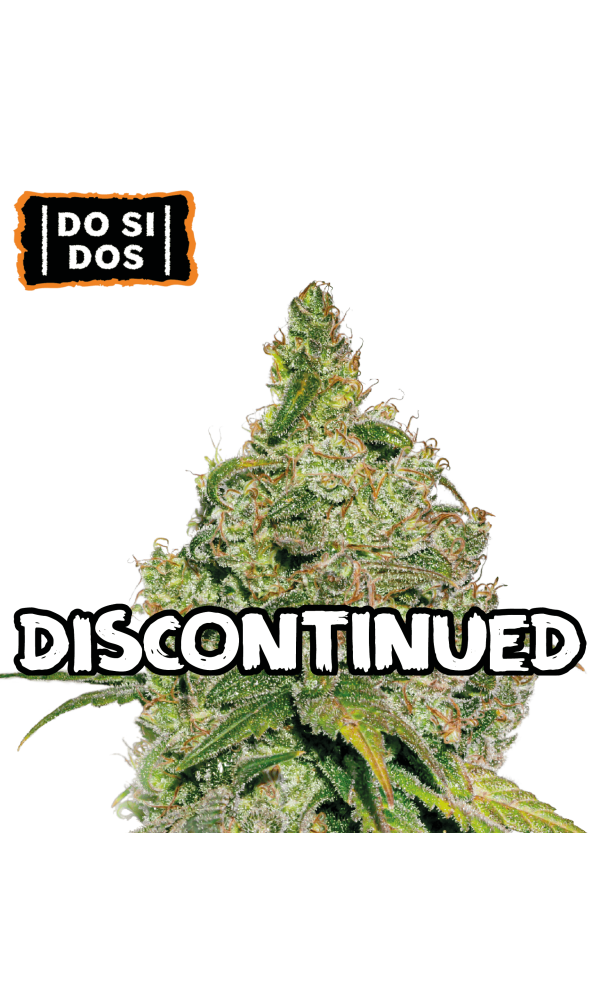Do Si Dos von Seedstockers
