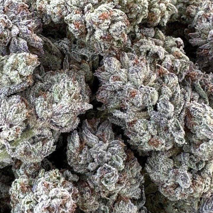 Double Fire Headband von Humboldt Seed Organisation
