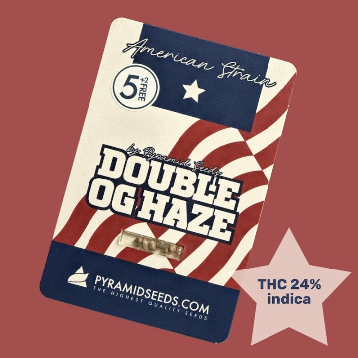 Double OG Haze Pyramid Seeds