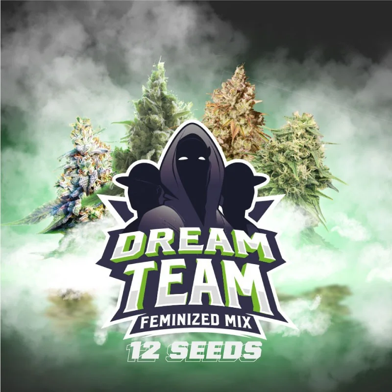 Dream Team Feminized Mix BSF Seeds