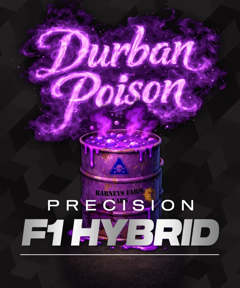 Durban Poison Barney's Farm