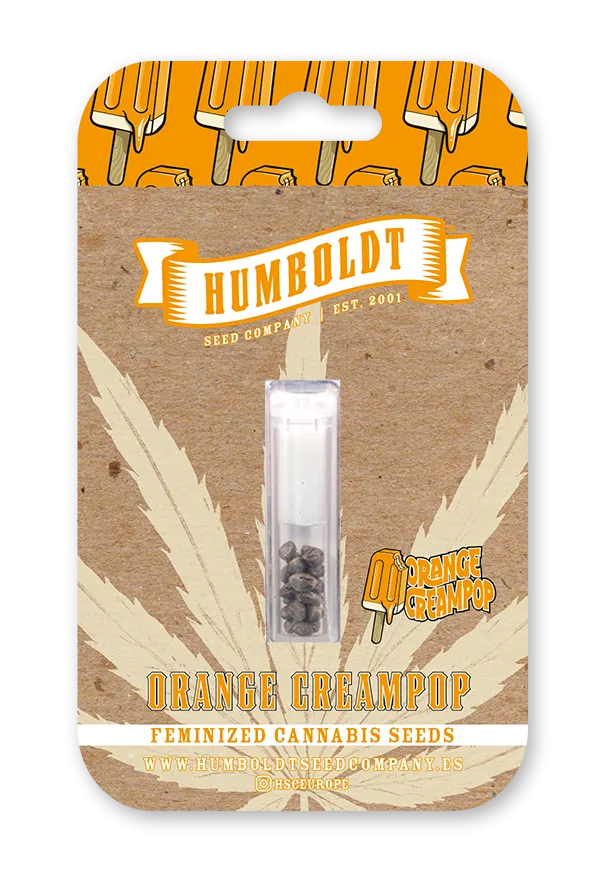 Orange Creampop von Humboldt Seed Company