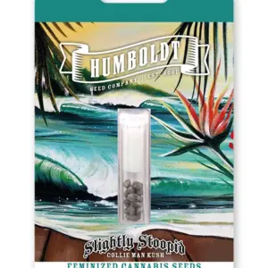 Slightly Stoopid Collie Man Kush von Humboldt Seed Company