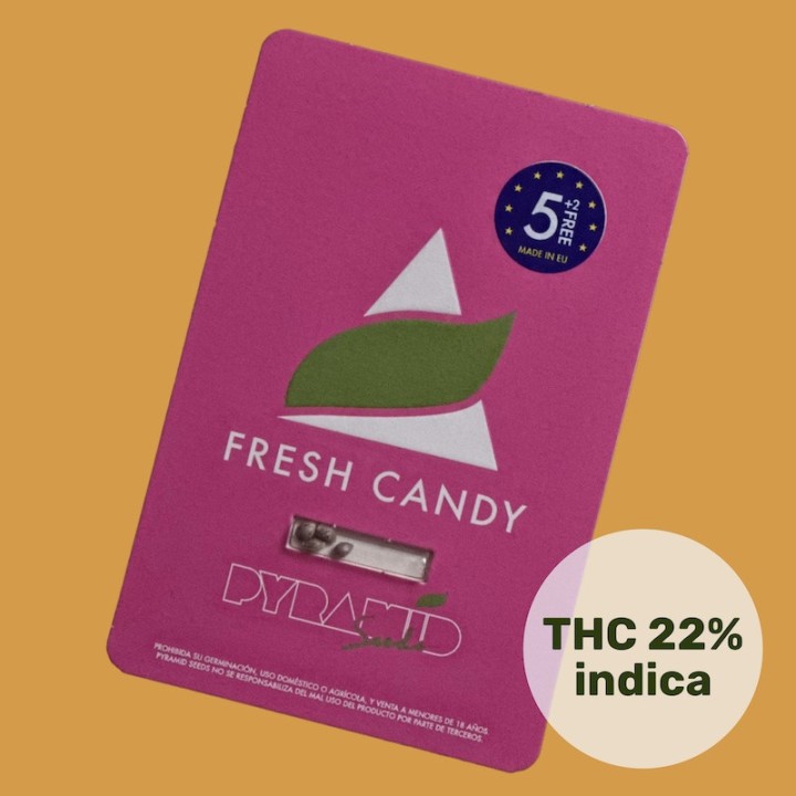 Fresh Candy Pyramid Seeds
