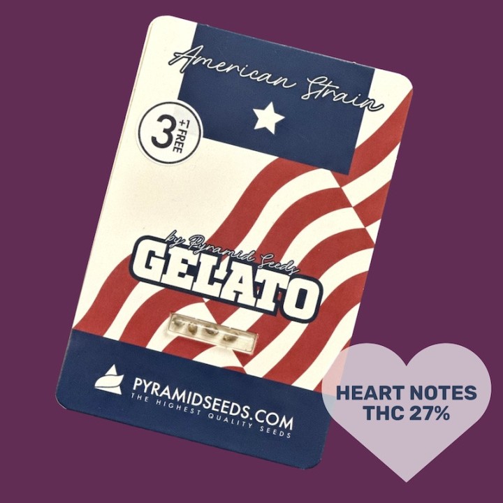 Gelato Pyramid Seeds