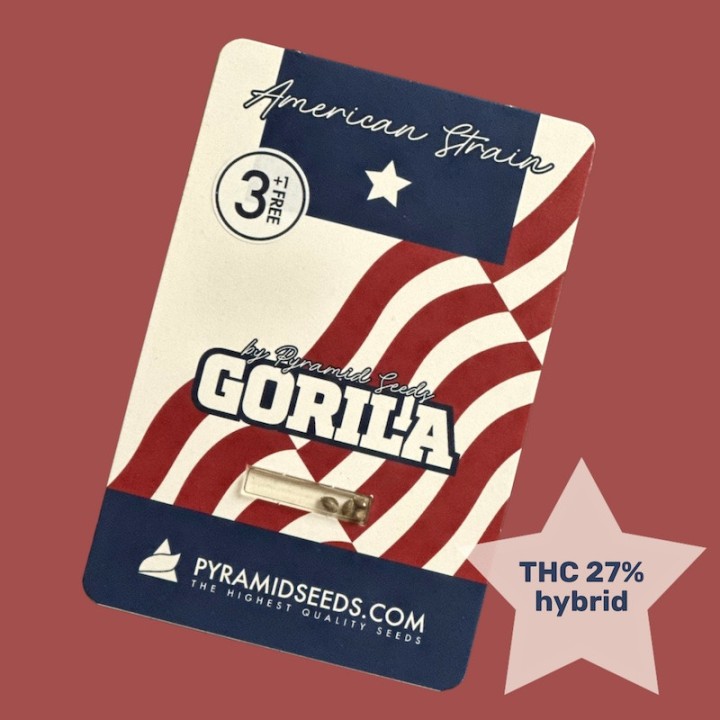 Gorila Pyramid Seeds