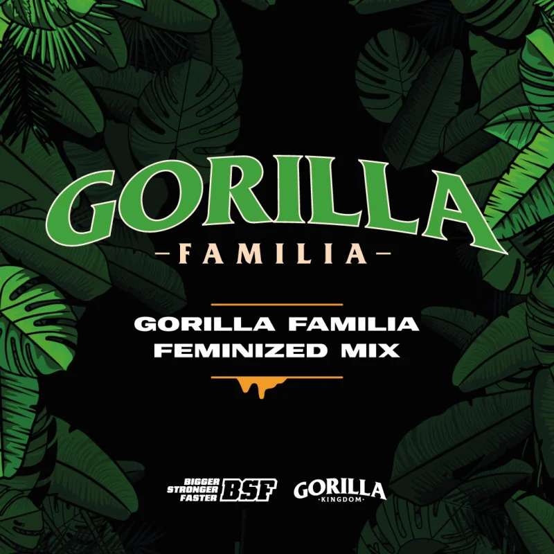 Gorilla Familia Feminized Mix BSF Seeds