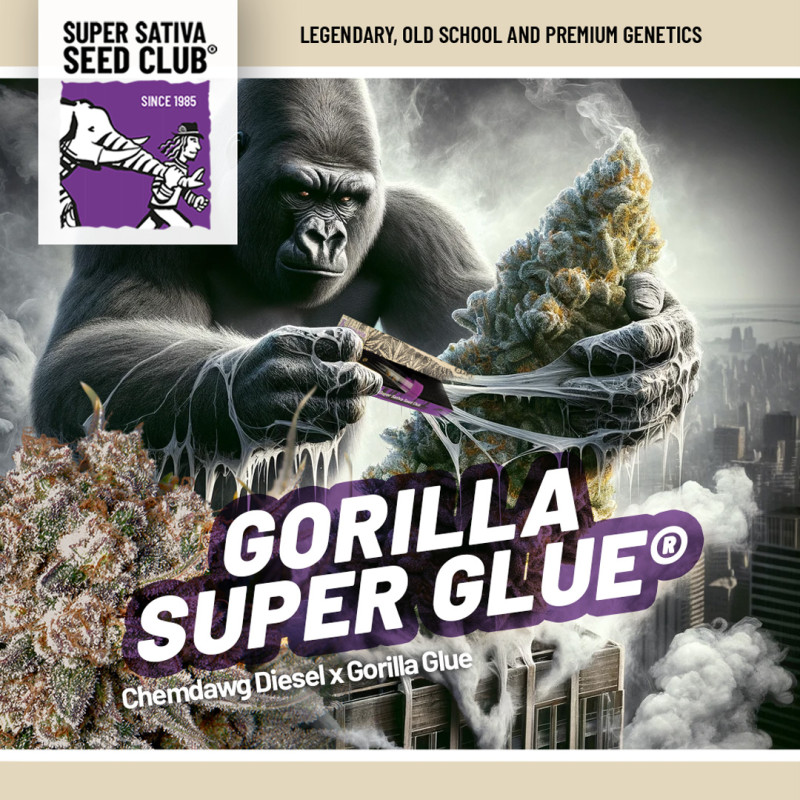 Gorilla Super Glue von Super Sativa Seed Club