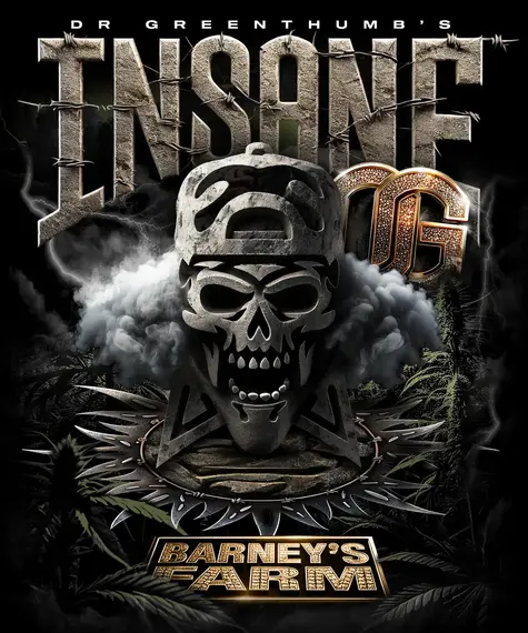 Insane OG Barney's Farm