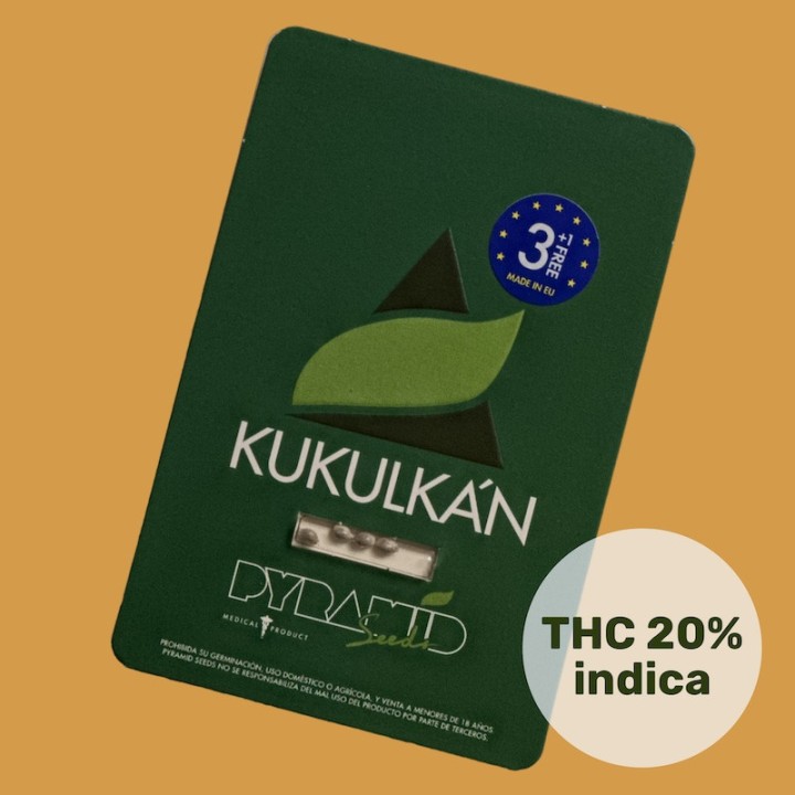 Kukulkan Pyramid Seeds