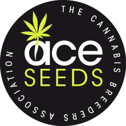 Haze C x Kali China von ACE Seeds
