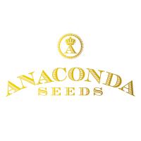 AK-01 von Anaconda Seeds