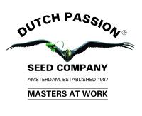The Edge von Dutch Passion