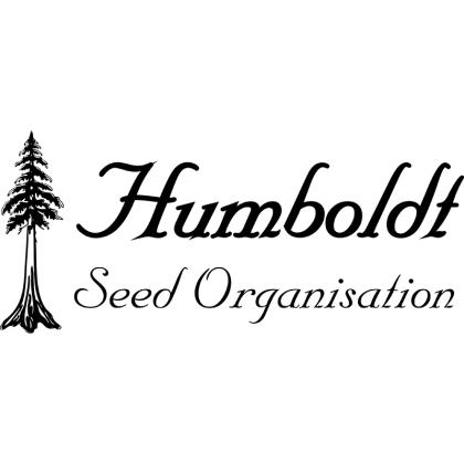 Blueberry Headband von Humboldt Seed Organisation