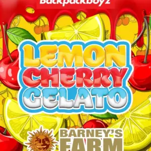 Lemon Cherry Gelato Barney's Farm