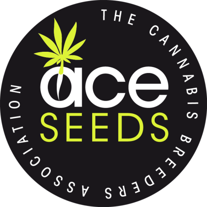 Haze C x Kali China von ACE Seeds