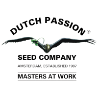 Jorge's Diamonds #1 von Dutch Passion