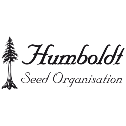 Sunset Bride von Humboldt Seed Organisation