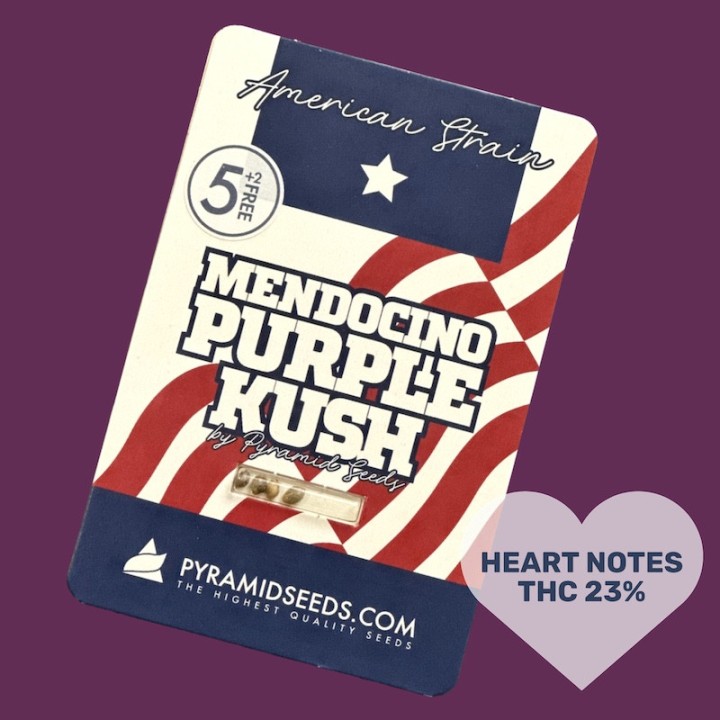 Mendocino Purple Kush Pyramid Seeds