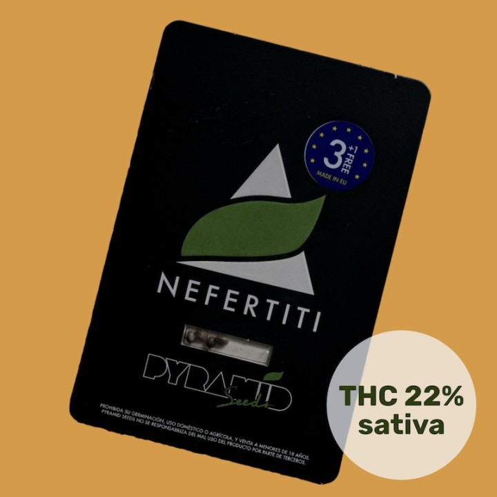 Nefertiti Pyramid Seeds