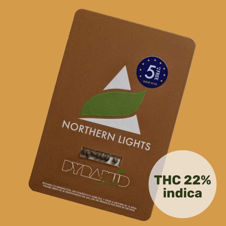 Northern Lights Pyramid Seeds