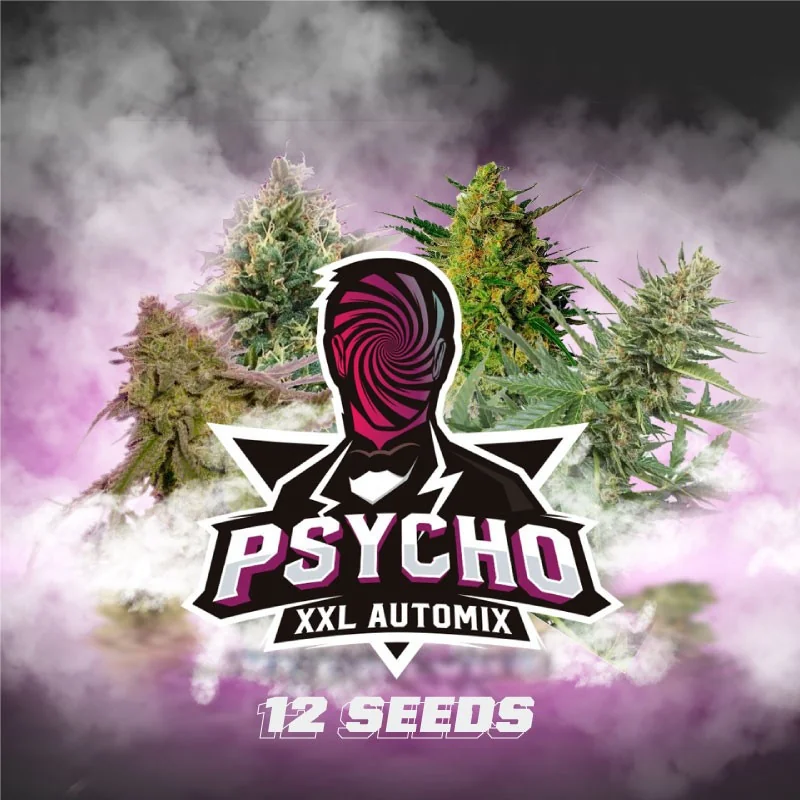 Psycho XXL Automix BSF Seeds